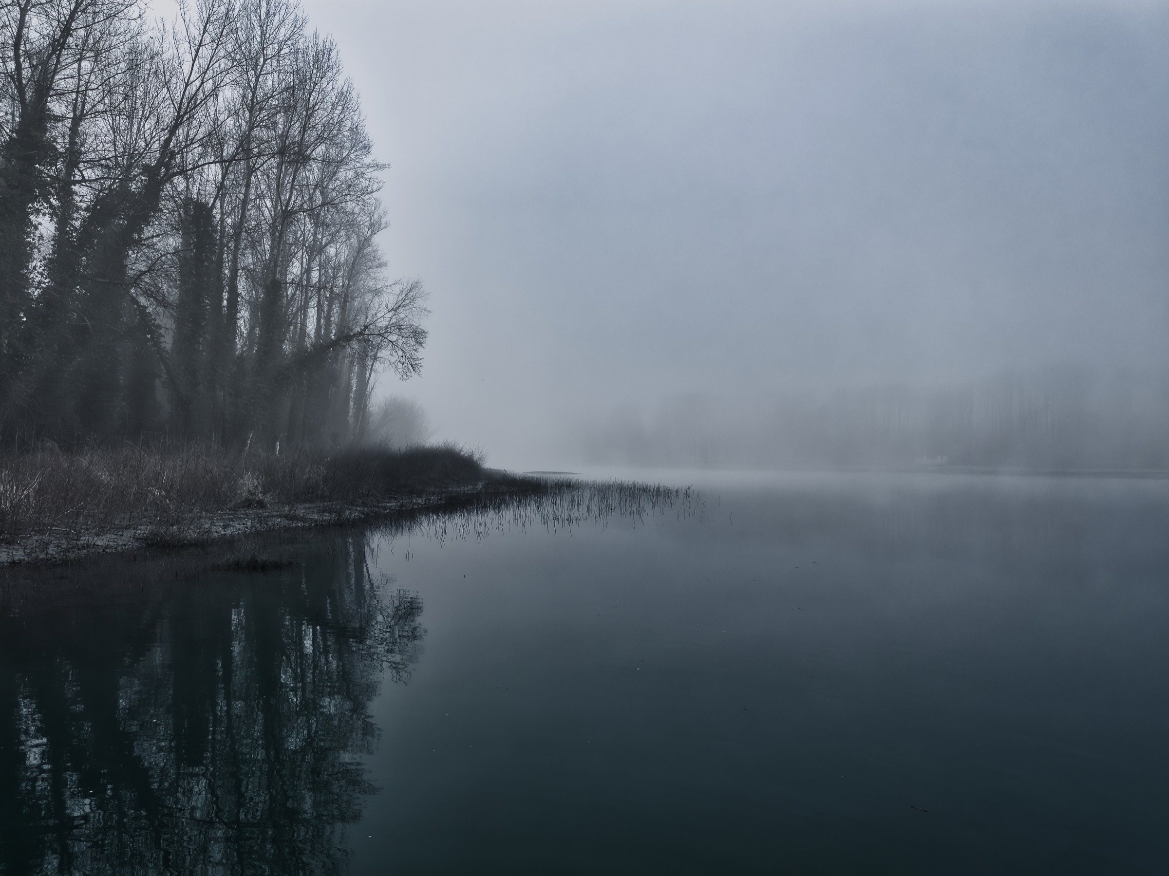 Specchio d'acqua nella nebbia ripreso dall'alto